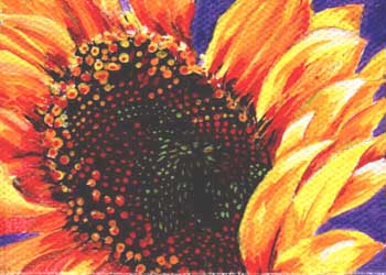 "Sun Spot" by Alison Meschke, Johnson Creek WI - Acrylic on Canvas